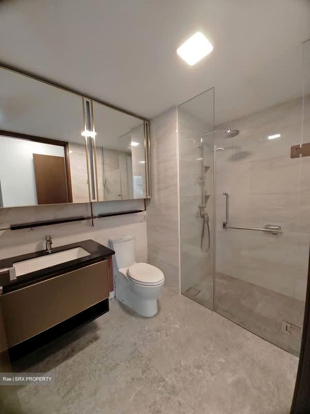 Normanton Park (D5), Apartment #597686631